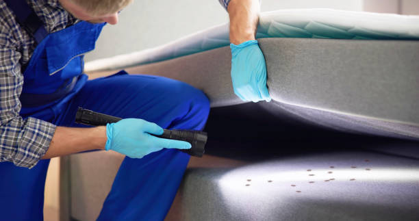 Professional Pest Control in Warren, MN