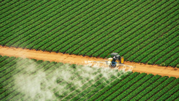 Best Mosquito Control Services  in Warren, MN