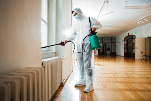 Best Cockroach Control Services  in Warren, MN