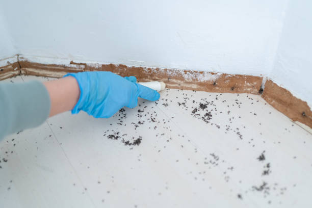 Best Pest Removal Services  in Warren, MN
